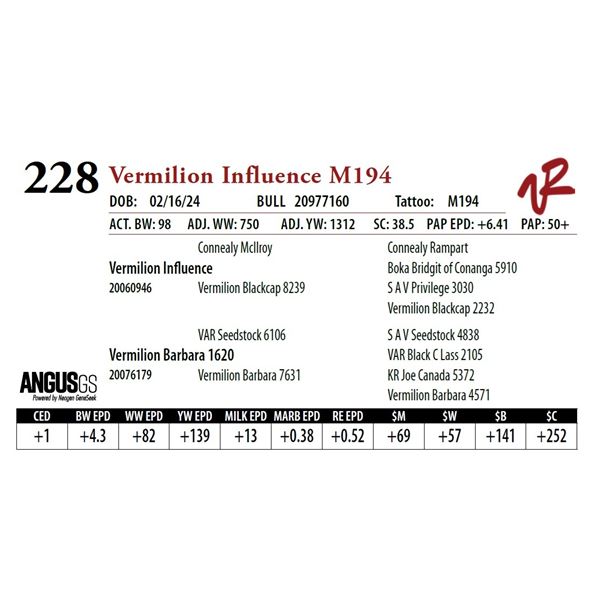 VERMILION INFLUENCE M194