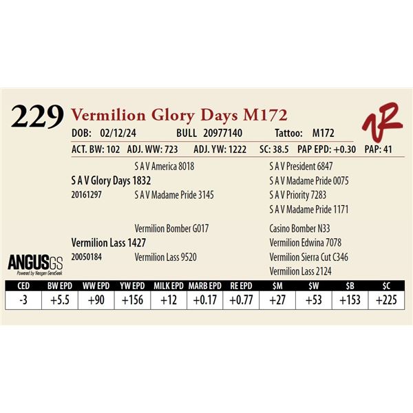 VERMILION GLORY DAYS M172