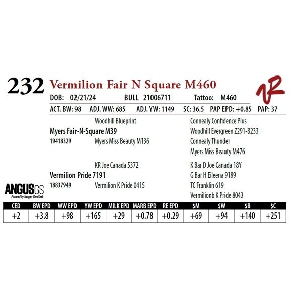 VERMILION FAIR N SQUARE M460