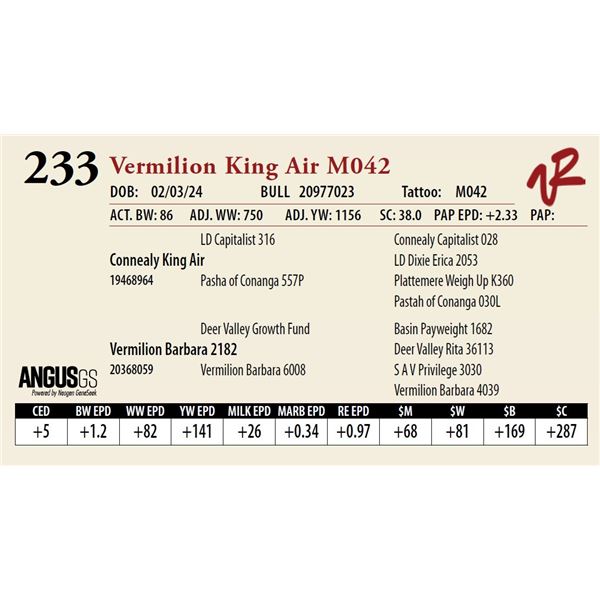 VERMILION KING AIR M042