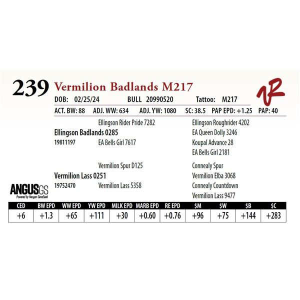 VERMILION BADLANDS M217