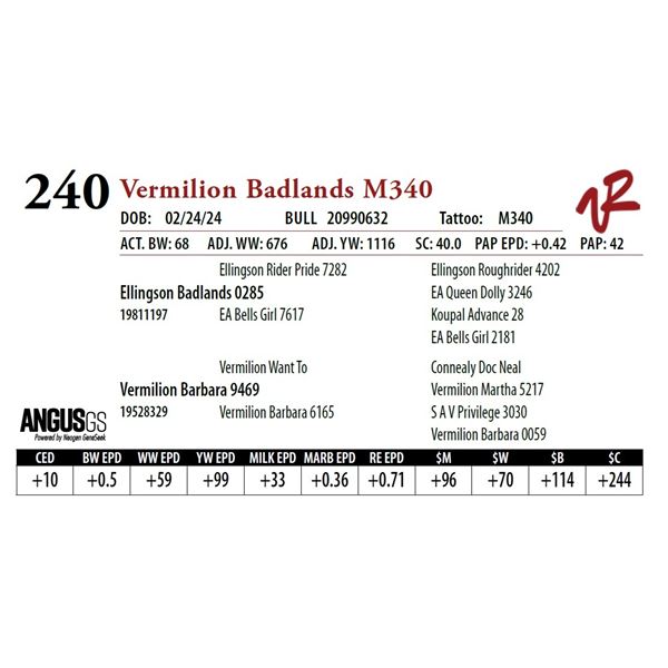 VERMILION BADLANDS M340