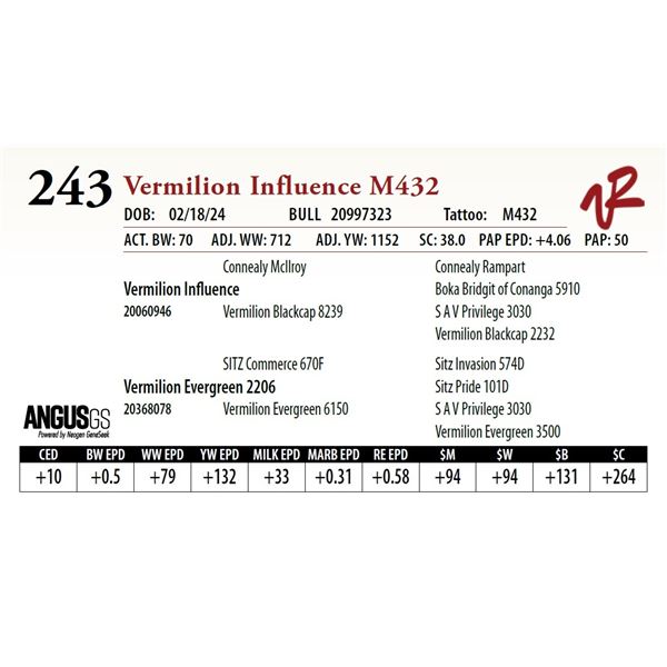 VERMILION INFLUENCE M432