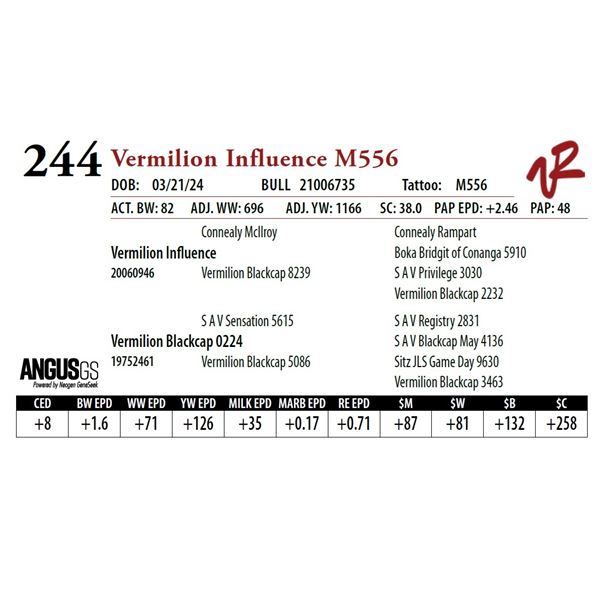 VERMILION INFLUENCE M556