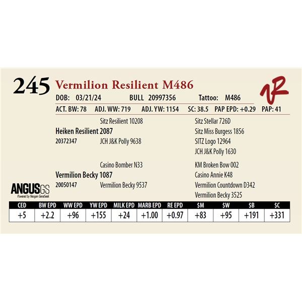 VERMILION RESILIENT M486