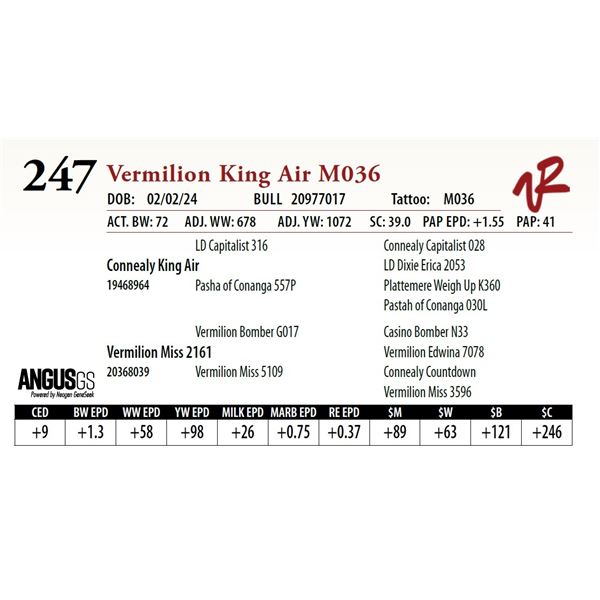 VERMILION KING AIR M036