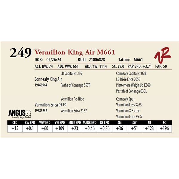 VERMILION KING AIR M661