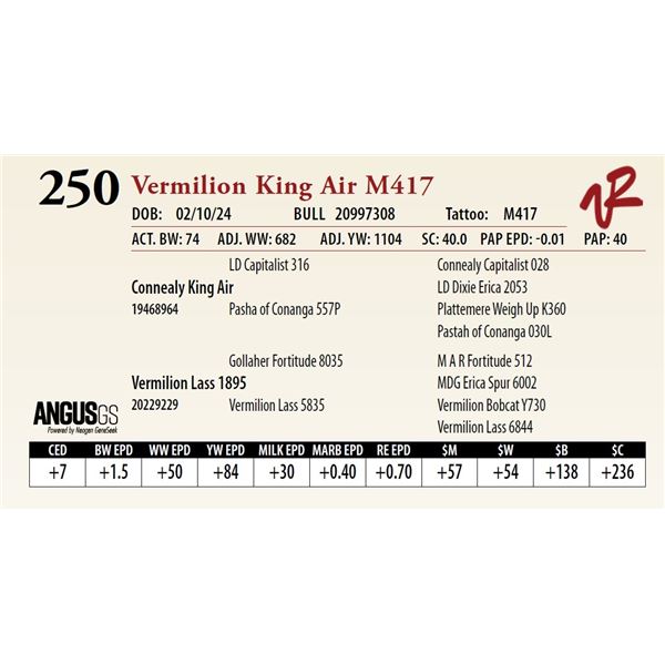 VERMILION KING AIR M417