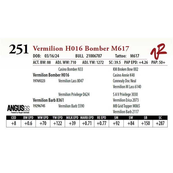 VERMILION H016 BOMBER M617