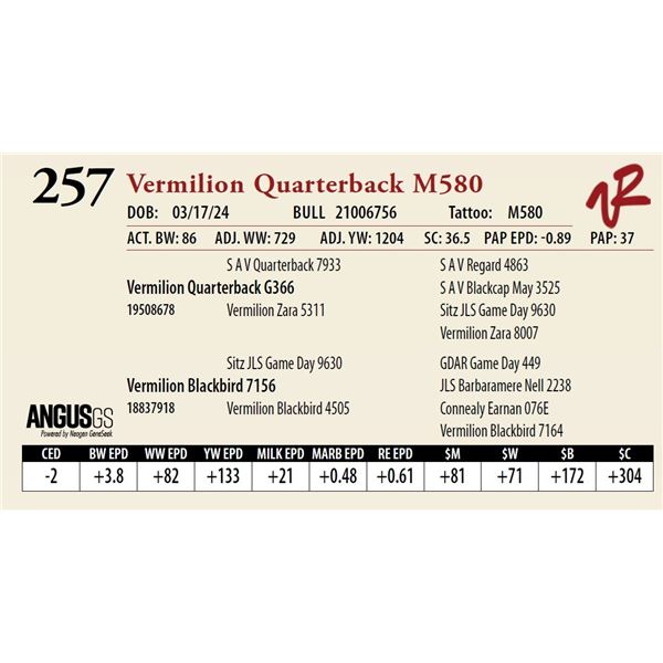VERMILION QUARTERBACK M580