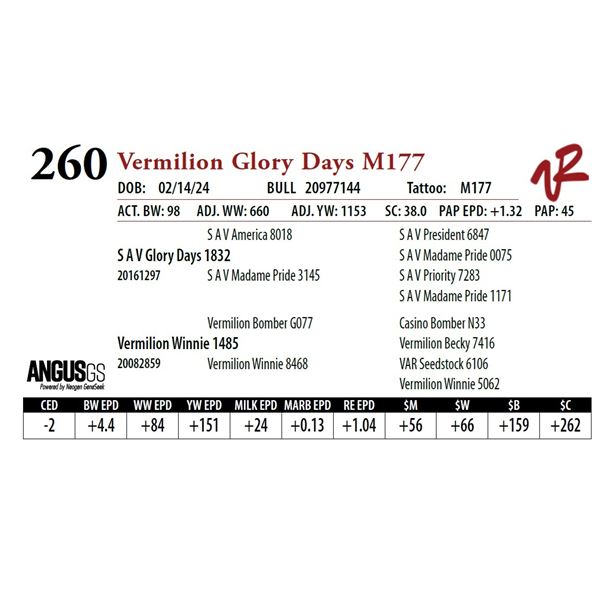 VERMILION GLORY DAYS M177