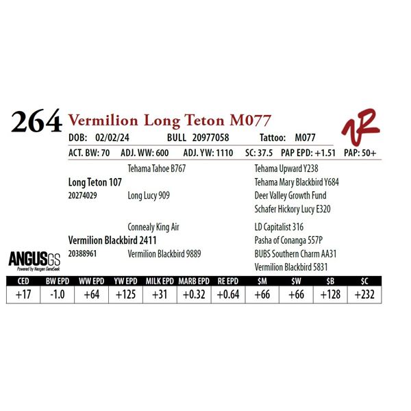 VERMILION LONG TETON M077