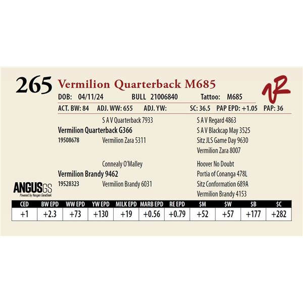 VERMILION QUARTERBACK M685