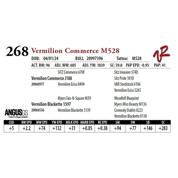 VERMILION COMMERCE M528