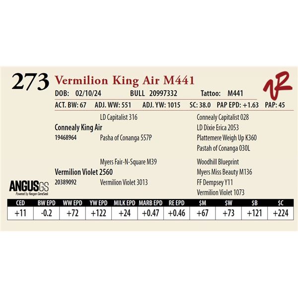 VERMILION KING AIR M441