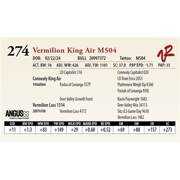 VERMILION KING AIR M504