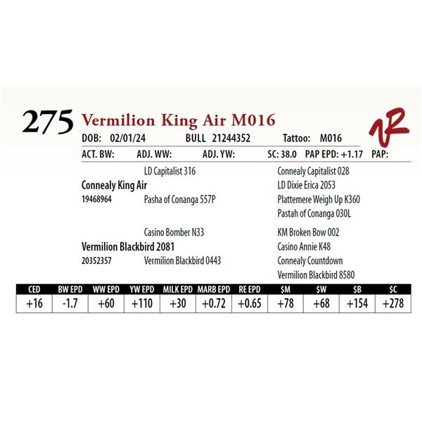 VERMILION KING AIR M016