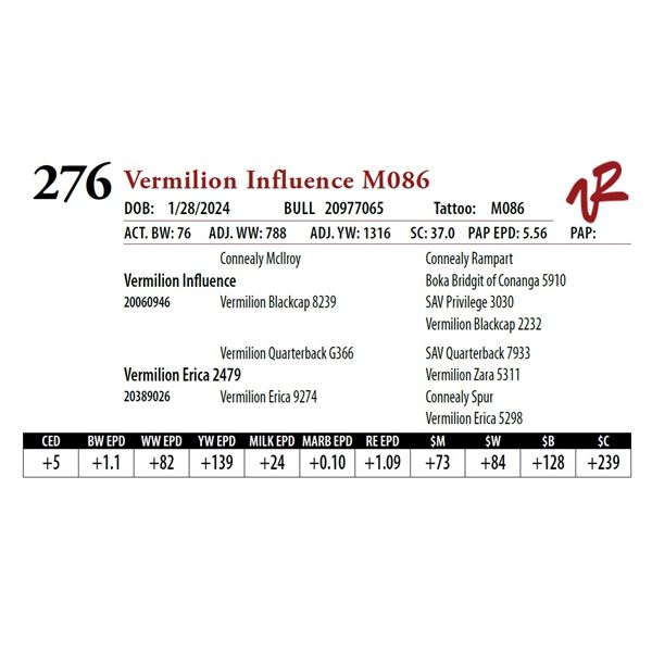 VERMILION INFLUENCE M086