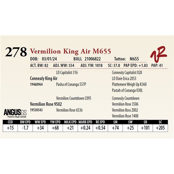 VERMILION KING AIR M655