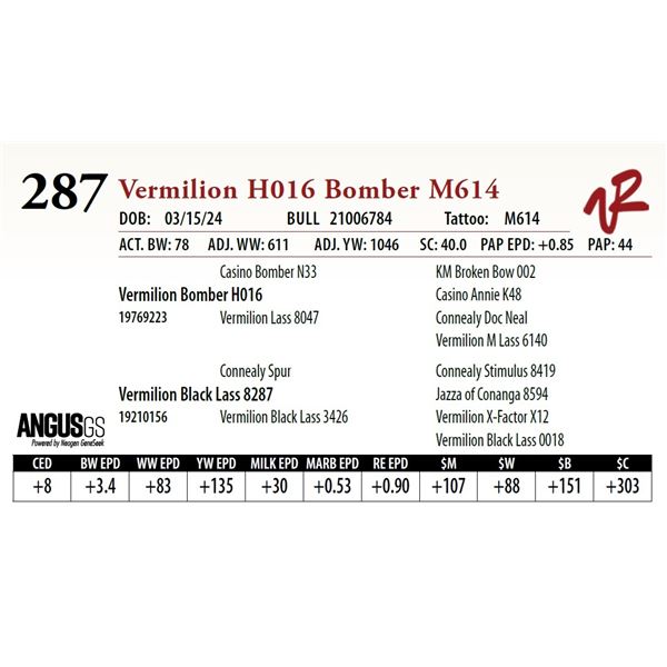 VERMILION H016 BOMBER M614