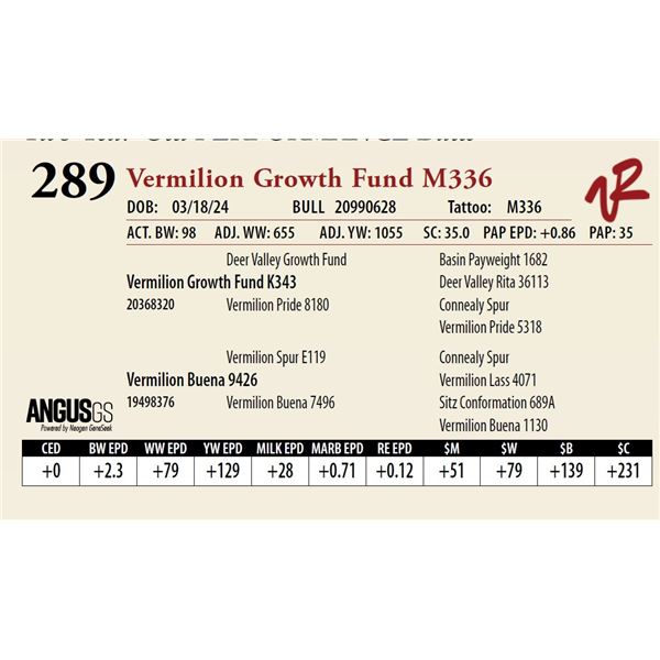 VERMILION GROWTH FUND M336