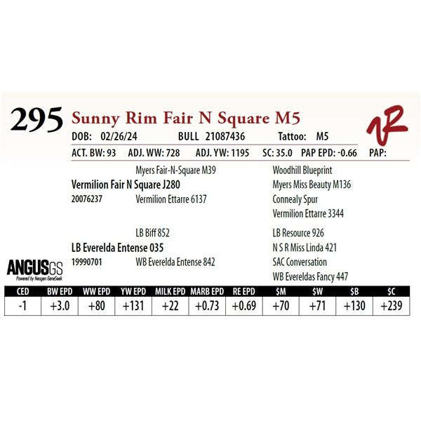 SUNNY RIM FAIR N SQUARE M5