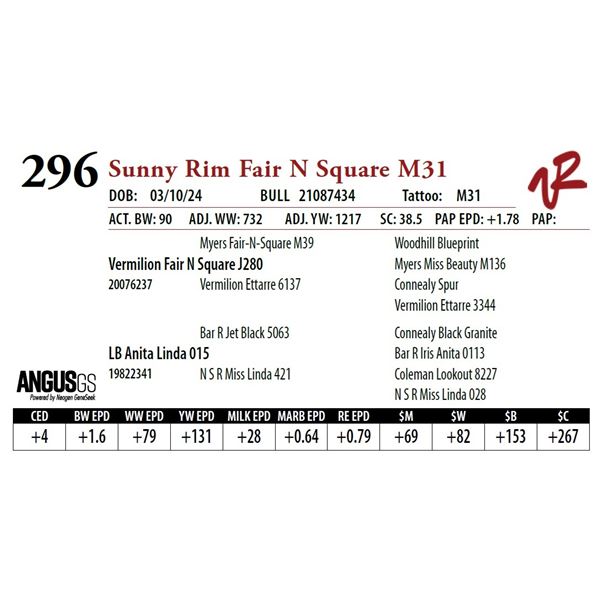 SUNNY RIM FAIR N SQUARE M31