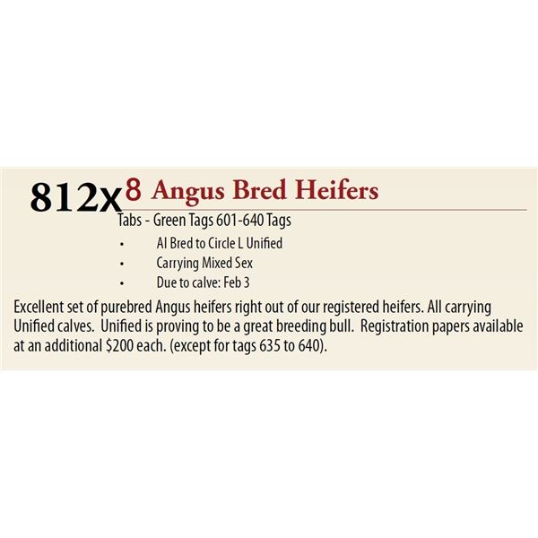 8 AI Bred Mixed Sex BRED HEIFERS