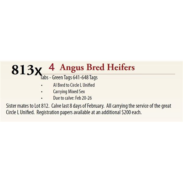 4 AI Bred Mixed Sex BRED HEIFERS