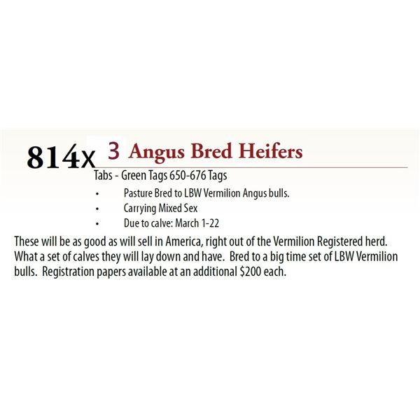 3 Pasture Bred Heifers