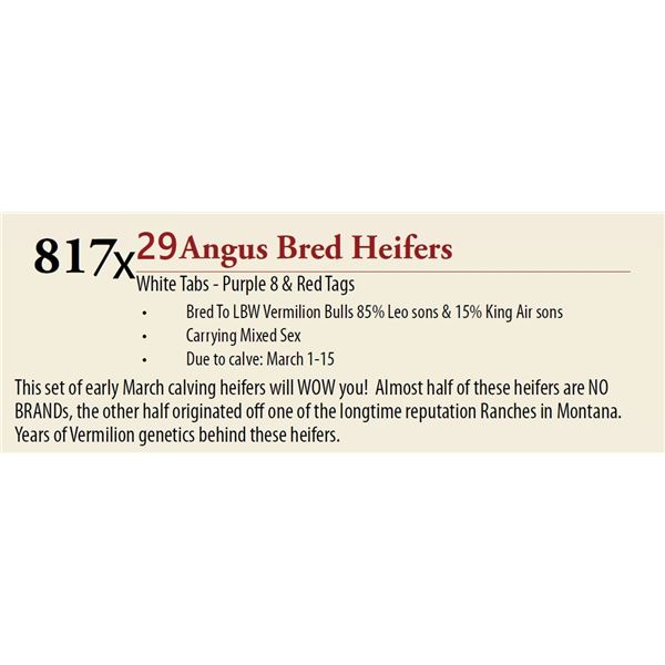 29 Pasture Bred Heifers