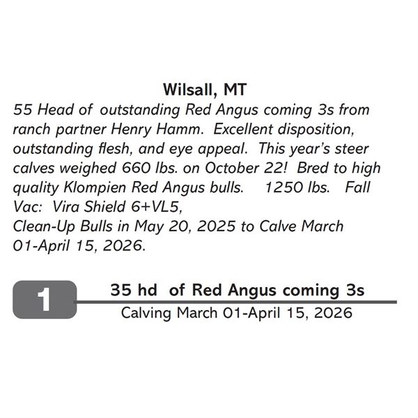 35 hd of Red Angus coming 3s