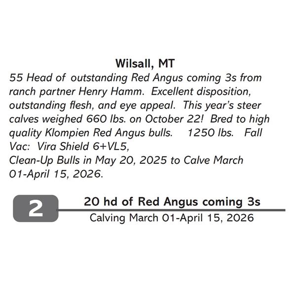 20 hd of Red Angus coming 3s