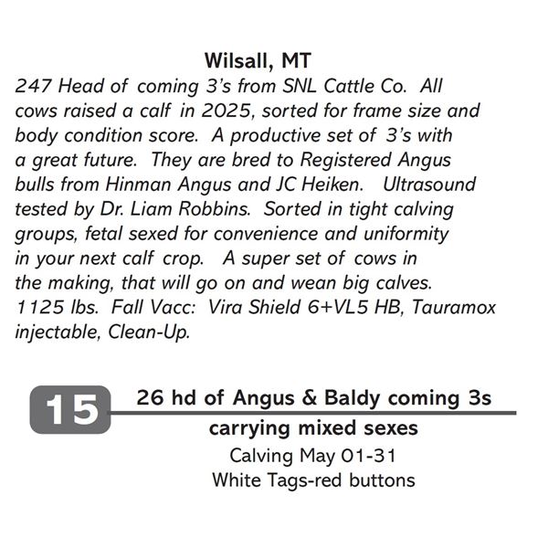 26 hd of Angus & Baldy coming 3s