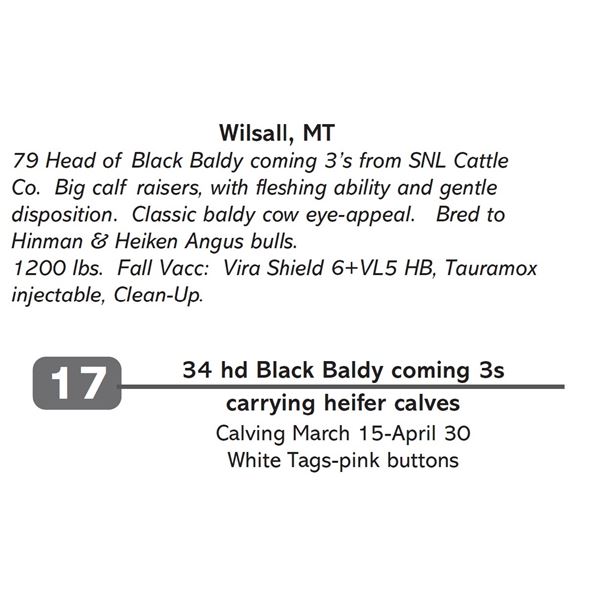 34 hd Black Baldy coming 3s