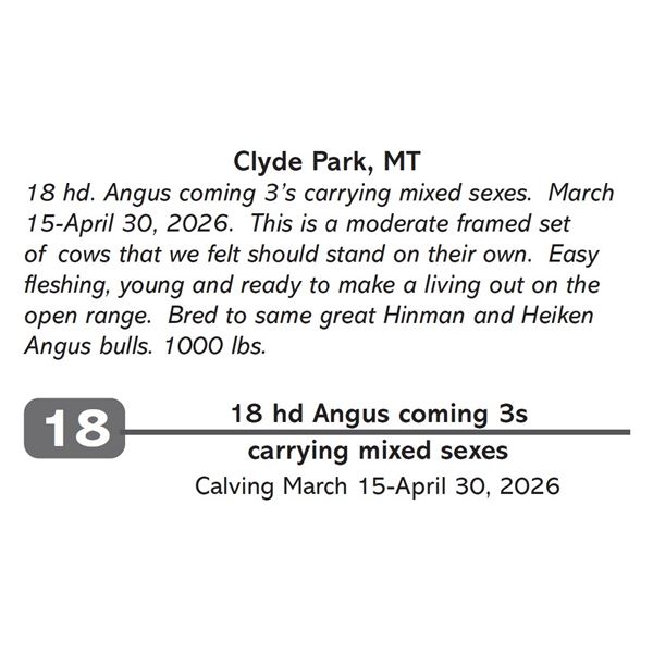 18 hd Angus coming 3s