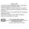 Image 1 : 47 hd Angus Bred Heifers