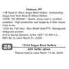 Image 1 : 13 hd Angus Bred Heifers