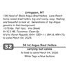 Image 1 : 56 hd Angus Bred Heifers