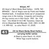 Image 1 : 26 hd Black Baldy Bred Heifers