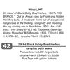 Image 1 : 29 hd Black Baldy Bred Heifers