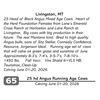 Image 1 : 25 hd Angus Running Age Cows