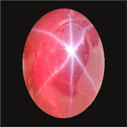 4.6ct Orange Star 6 Ray Diffusion Sapphire Cabochon (GEM-18435)