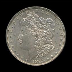 1883 Morgan Dollar Choice+ Unc Toned (COI-5674)