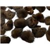 Image 4 : Assorted 50+ Pcs Fur Pom Poms, Black & Brown - Possibly Real Fur, Removed from Scarves