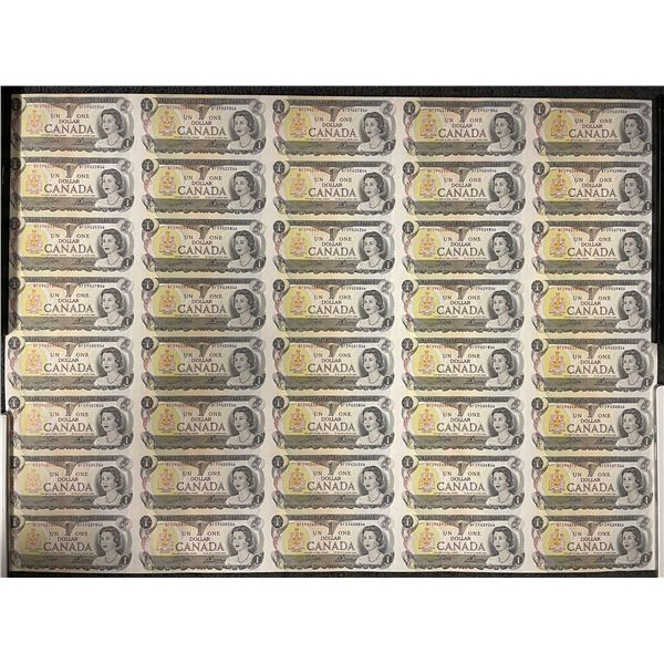 Uncut Sheet of 40 Canadian 1973 One Dollar Bills -  BFD Prefix Serial Numbers - In protective tube