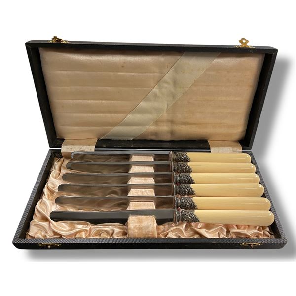 Antique Elesner Rapperswyl 6 Serrated Dinner Knives with Sheffield Steel  Blades in Fitted Case