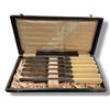 Image 1 : Antique Elesner Rapperswyl 6 Serrated Dinner Knives with Sheffield Steel  Blades in Fitted Case