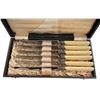 Image 2 : Antique Elesner Rapperswyl 6 Serrated Dinner Knives with Sheffield Steel  Blades in Fitted Case