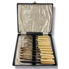Image 1 : Antique Forks and Knives Set with Faux Bone Handles - 6 Place setting in fitted case